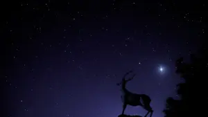 Aries Daily Horoscope for October 14, 2026: Make Room to Listen