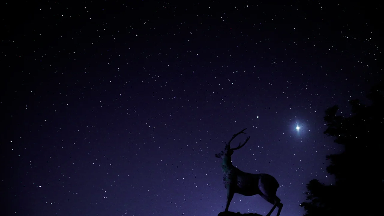 Silhouette of a deer statue against a vibrant starry night sky.