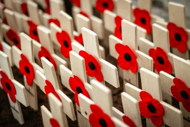 Cheshunt Old Pond poppy display: free from 22 October