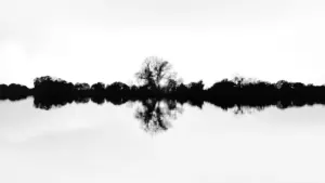 Dreaming of a Loved One Who Has Died: A Gentle Way to Reflect