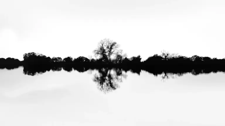 Dreaming of a Loved One Who Has Died: A Gentle Way to Reflect