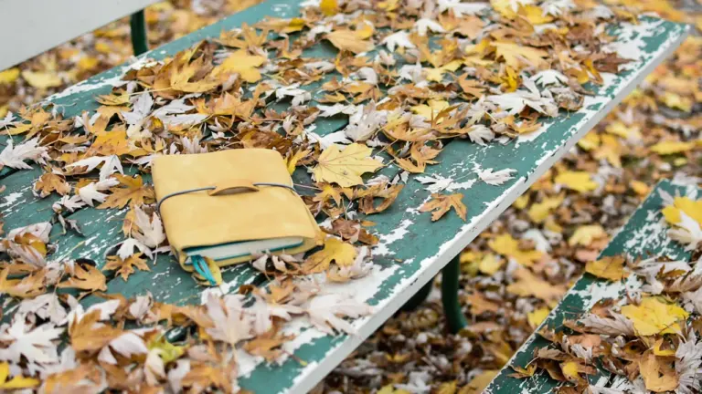 Dreaming of Autumn Leaves: Endings, Gratitude and Letting Go