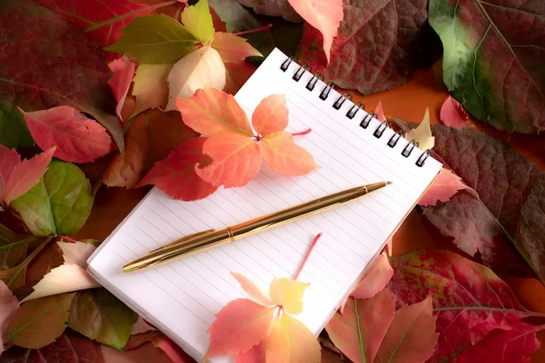 Dreaming of Autumn Leaves: Endings, Gratitude and Letting Go