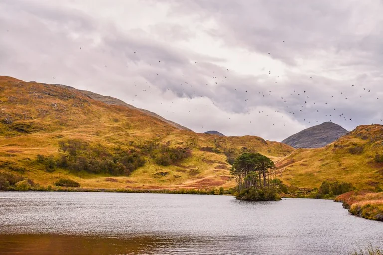 How to Plan a UK October Half-Term Trip Before Travel Peaks